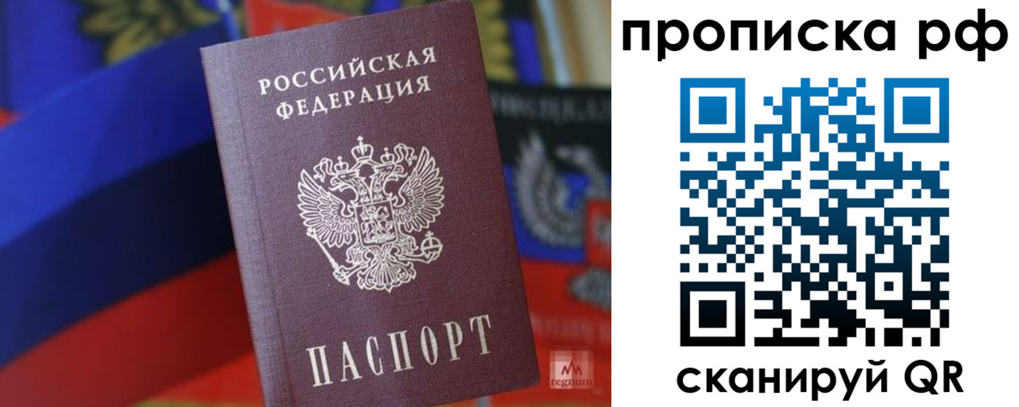временная регистрация надежно в Мурманской области